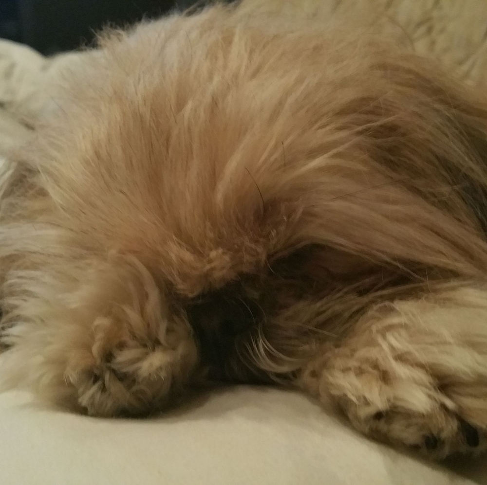 Meet your Posher, Mandy